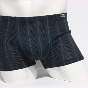 Alpharabin Boxer Brief 2001 view 1