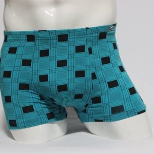 Alpharabin Boxer Brief 2005 view 1